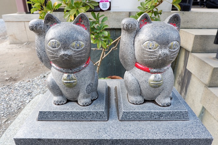 今戸神社のおみくじが金運アップに効果絶大 招き猫みくじのパワーが凄い もふろぐ