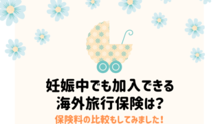 妊娠中の旅行はいつからok メリットや注意点を詳しく説明します もふろぐ